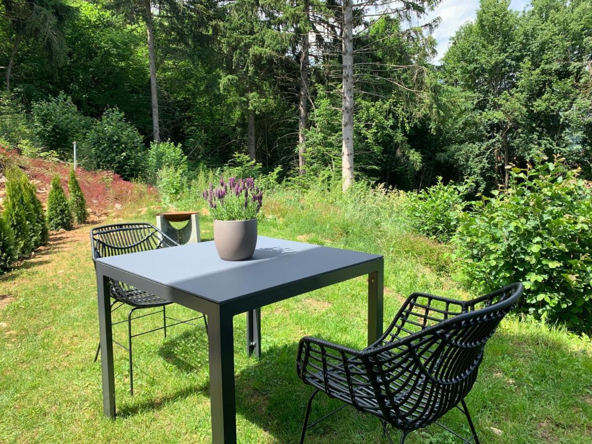 Moderne Wohnung Im Gruenen Mit Privatem Garten 도나우에싱겐 외부 사진