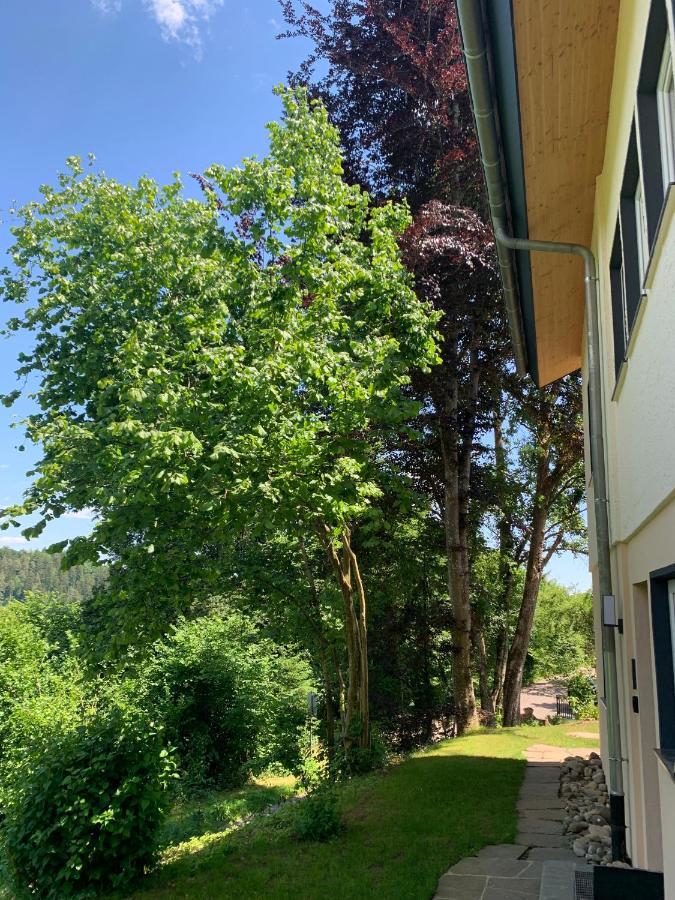Moderne Wohnung Im Gruenen Mit Privatem Garten 도나우에싱겐 외부 사진